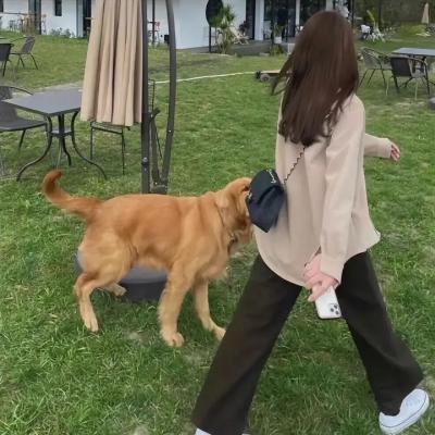 贞观之治